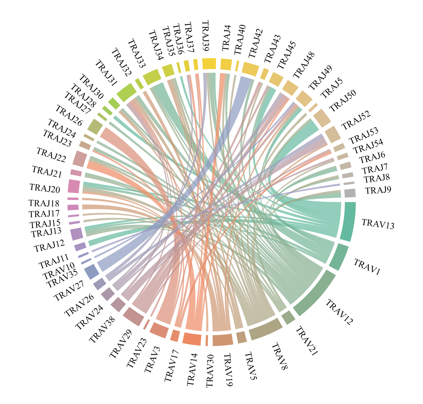 TCR alpha chain V and J gene usage distribution