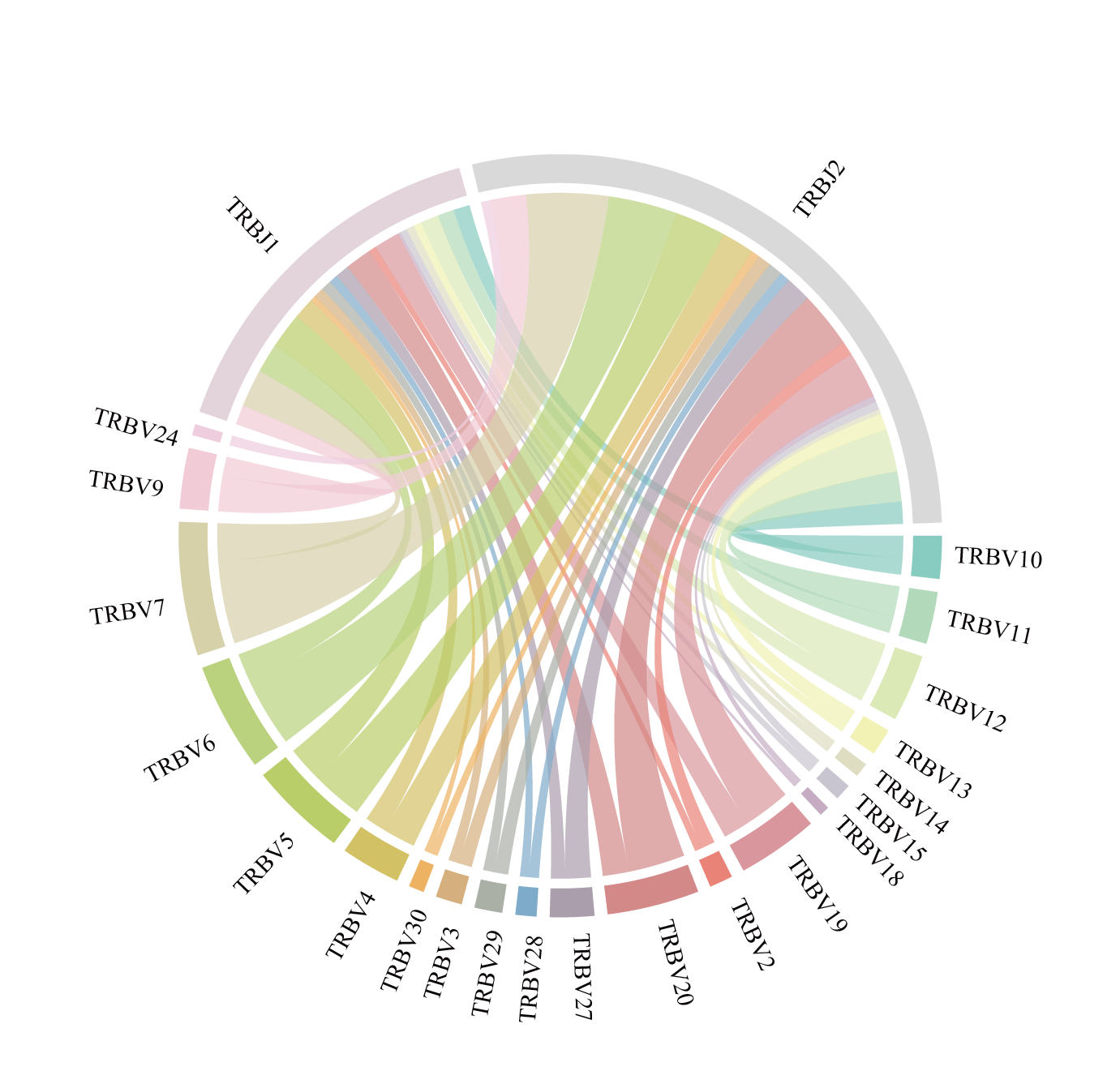 TCR beta chain V and J gene usage distribution