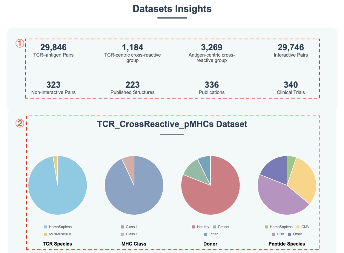 Statistics page charts and dataset summaries