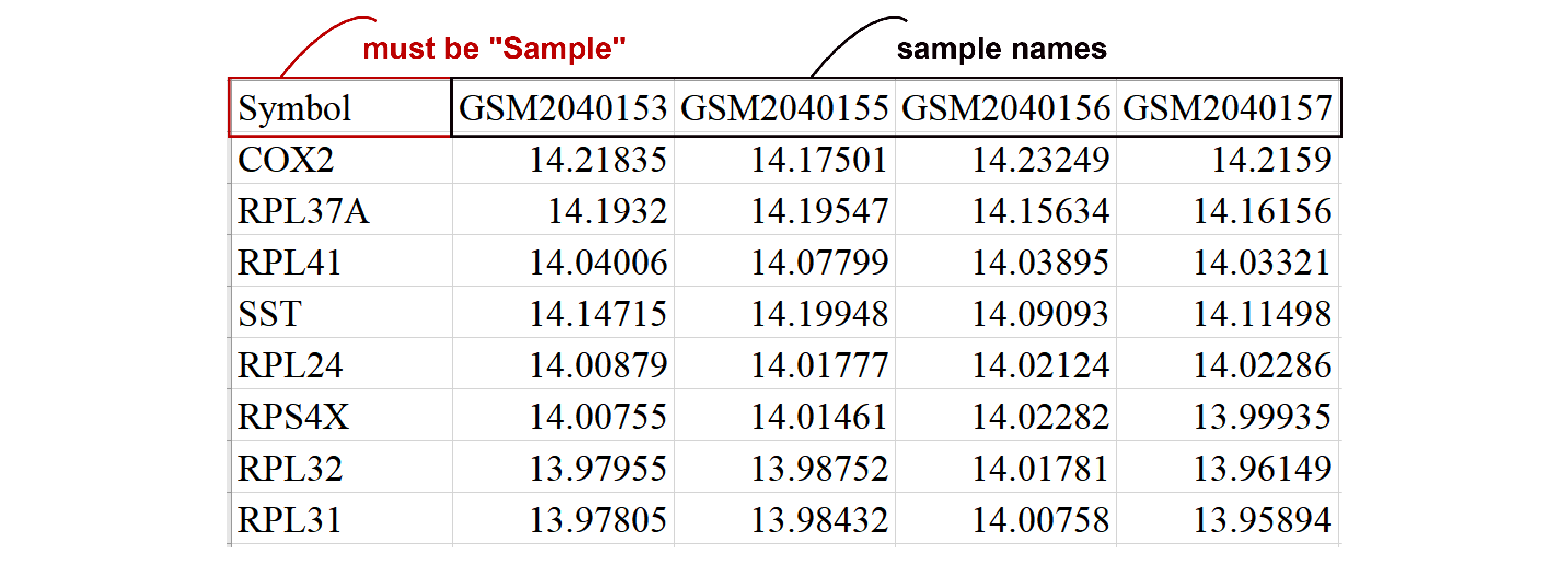 Expression matrix file image