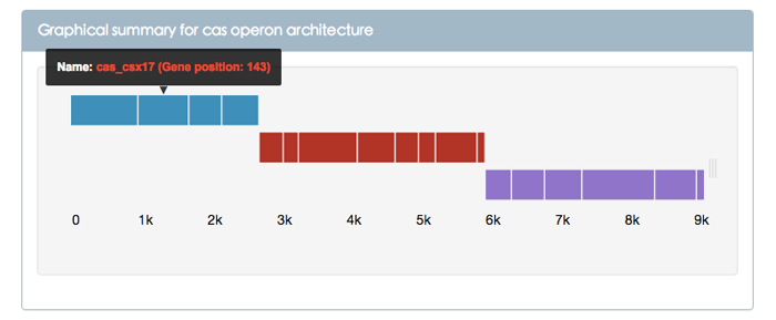 Figure 2. Graphical summary for cas operon architecture