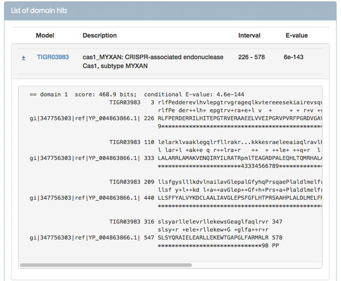 Figure 7. Alignment between the query and the target model in TIGRFAMs database