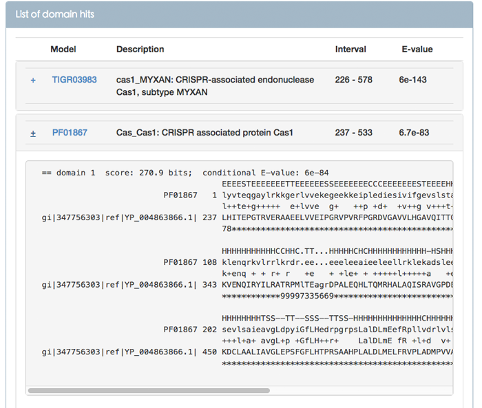 Figure 8. Alignment between the query and the target model in Pfam database